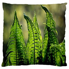 Fern Ferns Green Nature Foliage Large Flano Cushion Case (two Sides) by Nexatart