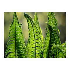 Fern Ferns Green Nature Foliage Double Sided Flano Blanket (mini)  by Nexatart