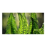 Fern Ferns Green Nature Foliage Satin Shawl Front