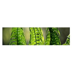 Fern Ferns Green Nature Foliage Satin Scarf (oblong) by Nexatart