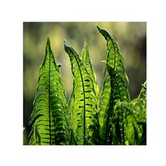 Fern Ferns Green Nature Foliage Small Satin Scarf (square) by Nexatart