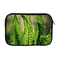 Fern Ferns Green Nature Foliage Apple Macbook Pro 17  Zipper Case by Nexatart