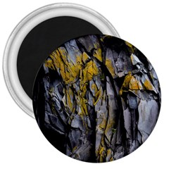 Grey Yellow Stone 3  Magnets