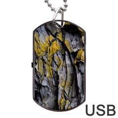 Grey Yellow Stone Dog Tag USB Flash (One Side)