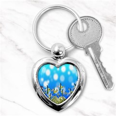 Pisces Underwater World Fairy Tale Key Chains (heart)  by Nexatart