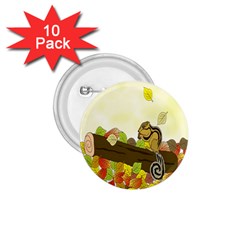 Squirrel 1 75  Buttons (10 Pack)