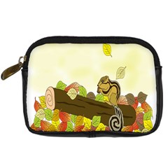 Squirrel Digital Camera Cases