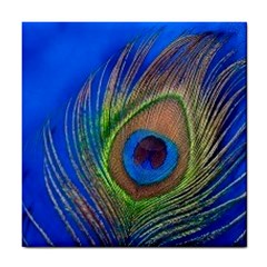 Blue Peacock Feather Tile Coasters