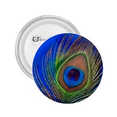 Blue Peacock Feather 2.25  Buttons