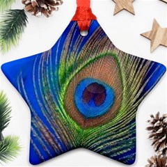 Blue Peacock Feather Ornament (Star)