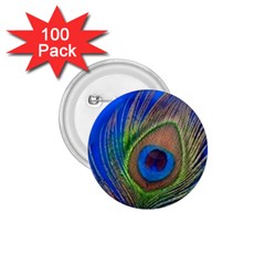 Blue Peacock Feather 1.75  Buttons (100 pack) 