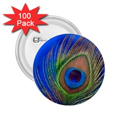 Blue Peacock Feather 2.25  Buttons (100 pack) 