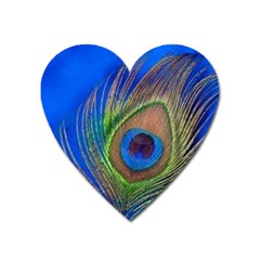 Blue Peacock Feather Heart Magnet by Amaryn4rt