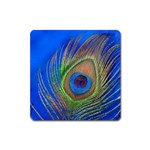 Blue Peacock Feather Square Magnet Front