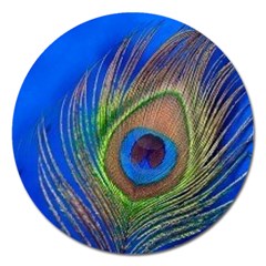 Blue Peacock Feather Magnet 5  (Round)