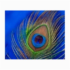 Blue Peacock Feather Small Glasses Cloth