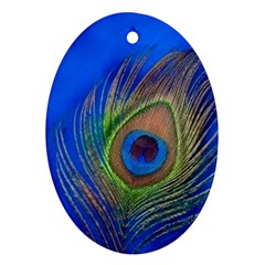 Blue Peacock Feather Oval Ornament (Two Sides)