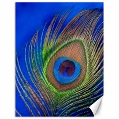 Blue Peacock Feather Canvas 12  x 16  