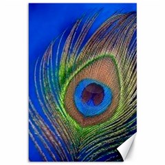 Blue Peacock Feather Canvas 12  x 18  