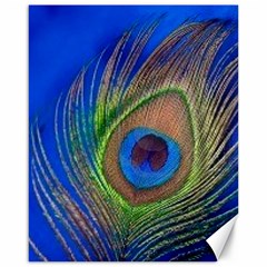 Blue Peacock Feather Canvas 16  x 20  