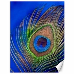 Blue Peacock Feather Canvas 36  x 48  