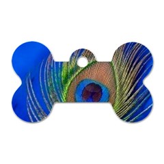 Blue Peacock Feather Dog Tag Bone (One Side)