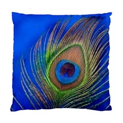 Blue Peacock Feather Standard Cushion Case (One Side)