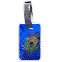 Blue Peacock Feather Luggage Tags (one Side)  by Amaryn4rt