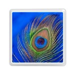 Blue Peacock Feather Memory Card Reader (Square)  Front