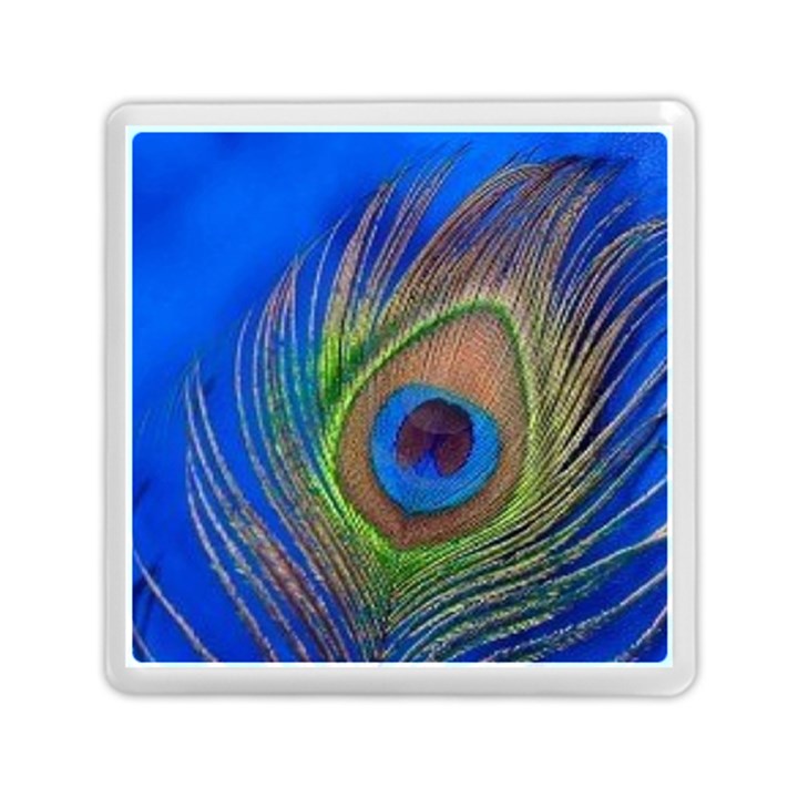 Blue Peacock Feather Memory Card Reader (Square) 