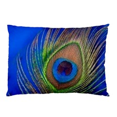 Blue Peacock Feather Pillow Case (two Sides) by Amaryn4rt