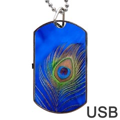 Blue Peacock Feather Dog Tag Usb Flash (one Side) by Amaryn4rt