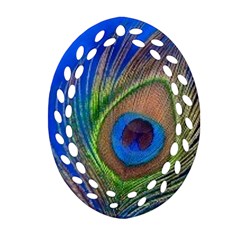 Blue Peacock Feather Ornament (Oval Filigree)