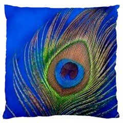 Blue Peacock Feather Large Cushion Case (Two Sides)