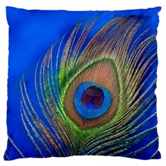 Blue Peacock Feather Standard Flano Cushion Case (Two Sides)