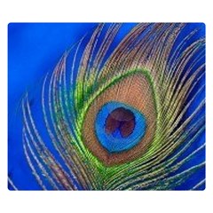 Blue Peacock Feather Double Sided Flano Blanket (small)  by Amaryn4rt