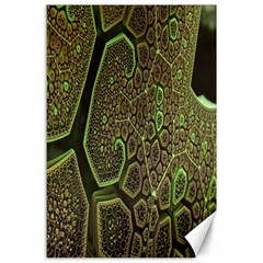 Fractal Complexity 3d Dimensional Canvas 24  X 36  by Nexatart