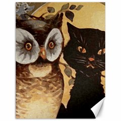 Owl And Black Cat Canvas 12  X 16   by Nexatart