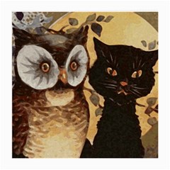 Owl And Black Cat Medium Glasses Cloth (2-side) by Nexatart