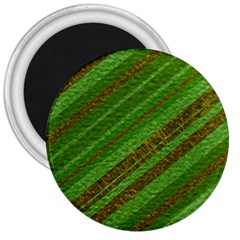 Stripes Course Texture Background 3  Magnets by Nexatart