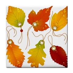 Vector Beautiful Maple Leaf Tile Coasters by Nexatart