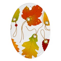 Vector Beautiful Maple Leaf Ornament (oval) by Nexatart