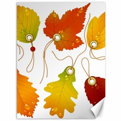 Vector Beautiful Maple Leaf Canvas 36  X 48   by Nexatart