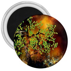 Backdrop Background Tree Abstract 3  Magnets