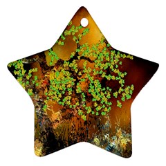 Backdrop Background Tree Abstract Ornament (Star)