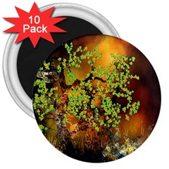 Backdrop Background Tree Abstract 3  Magnets (10 Pack)  by Nexatart