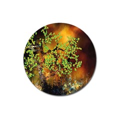 Backdrop Background Tree Abstract Magnet 3  (Round)