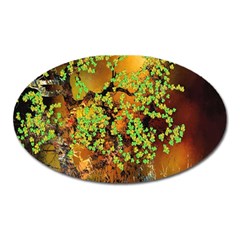 Backdrop Background Tree Abstract Oval Magnet