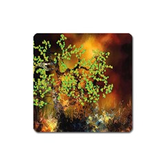 Backdrop Background Tree Abstract Square Magnet