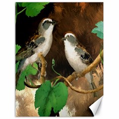 Backdrop Colorful Bird Decoration Canvas 18  X 24   by Nexatart